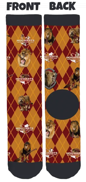 Gryffindor Socks